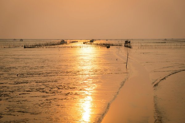 Quels gîtes en France offrent des ateliers de permaculture et des randonnées dans les montagnes?