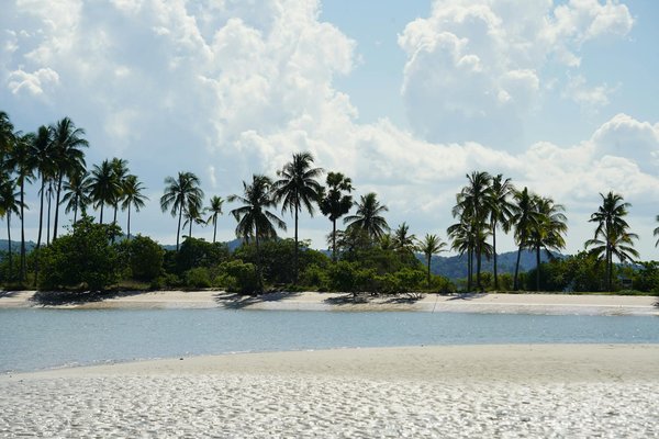 Comment organiser une expédition pour observer les lynx dans le parc national de Białowieża, Pologne?