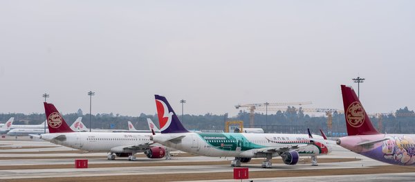 Comment organiser une croisière pour explorer les marchés de nuit en Asie?